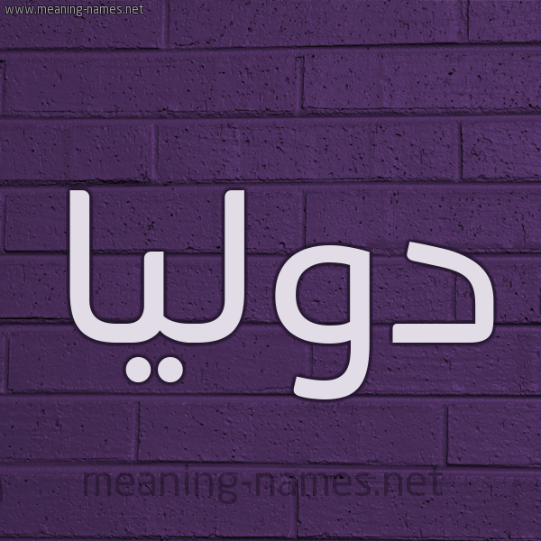 شكل 12 الإسم على الحائط الجداري صورة اسم دوليا dolia