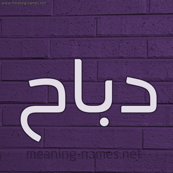 شكل 12 الإسم على الحائط الجداري صورة اسم دَبّاح DABAH