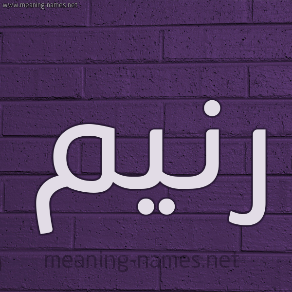 شكل 12 الإسم على الحائط الجداري صورة اسم رنيم Raneem
