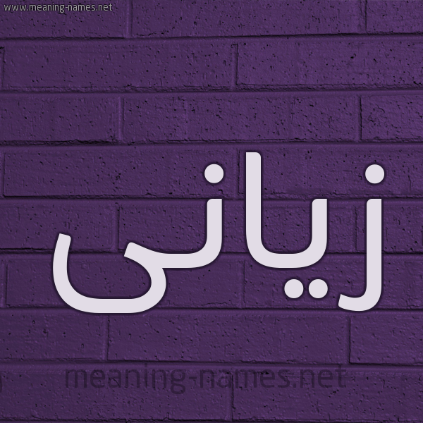شكل 12 الإسم على الحائط الجداري صورة اسم زيَّانى ziani شكل 12 الإسم على الحائط الجداري صورة اسم زيَّانى ziani