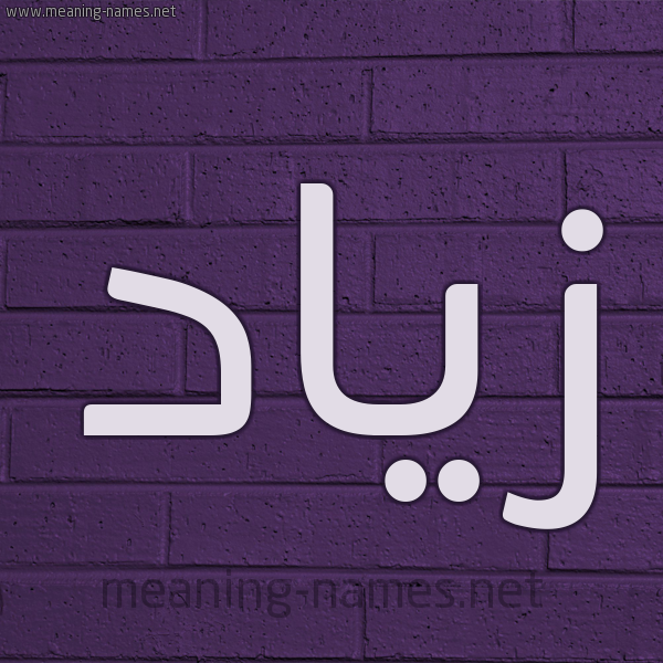 شكل 12 الإسم على الحائط الجداري صورة اسم زِيَاد Ziad