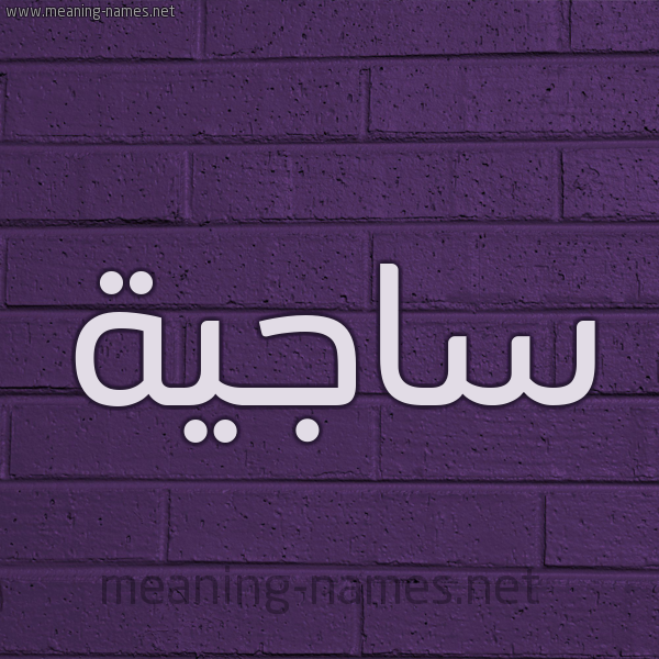 شكل 12 الإسم على الحائط الجداري صورة اسم ساجية Sajyh