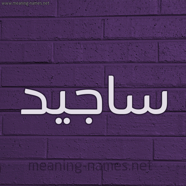 شكل 12 الإسم على الحائط الجداري صورة اسم ساجيد Sajed