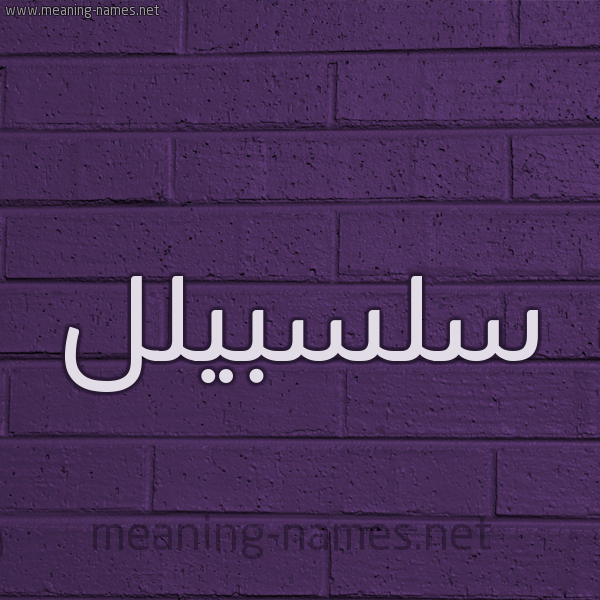 شكل 12 الإسم على الحائط الجداري صورة اسم سلسبيلل Salsabil
