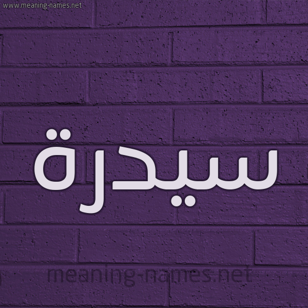 شكل 12 الإسم على الحائط الجداري صورة اسم سيدرة Sedra