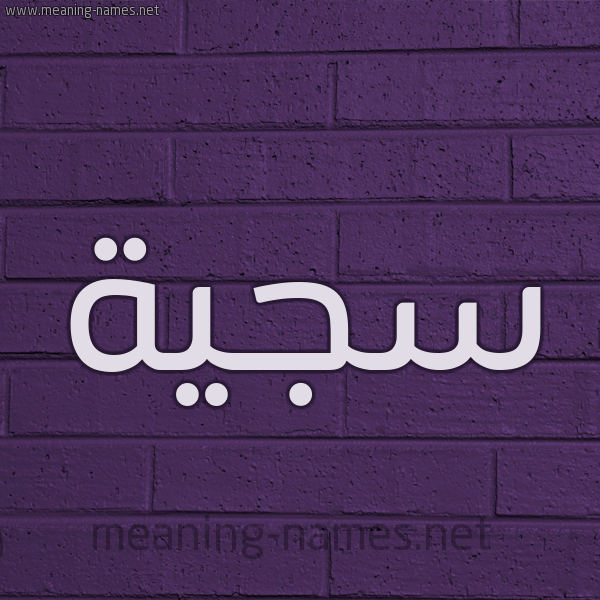 شكل 12 الإسم على الحائط الجداري صورة اسم سَجِيَّة SAGEIAH شكل 12 الإسم على الحائط الجداري صورة اسم سَجِيَّة SAGEIAH