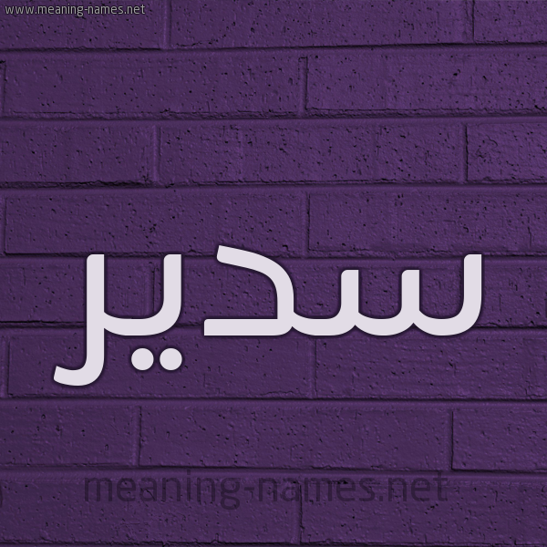 شكل 12 الإسم على الحائط الجداري صورة اسم سَدير Sadir