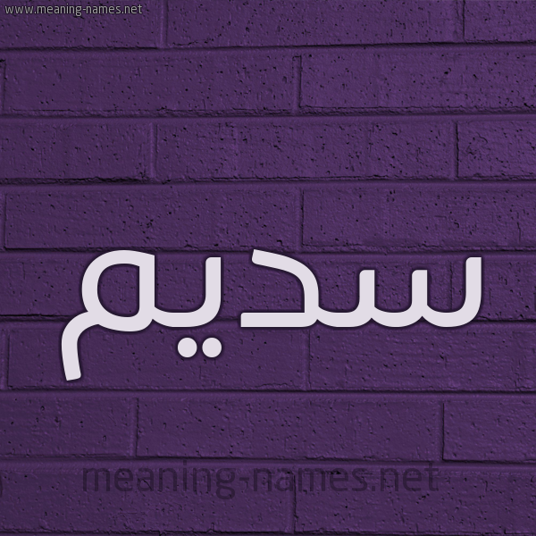 شكل 12 الإسم على الحائط الجداري صورة اسم سَديم SADIM