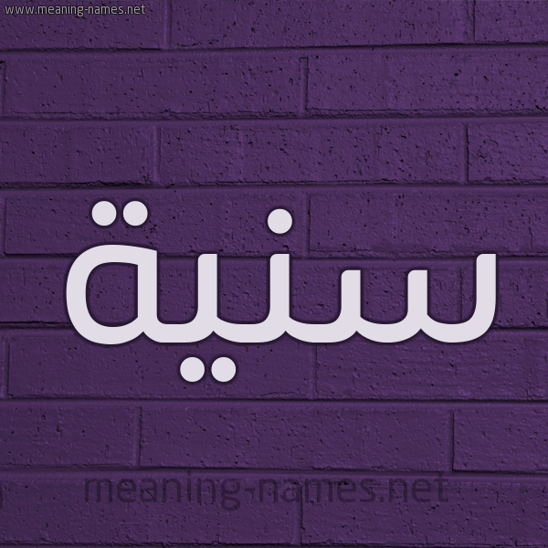 شكل 12 الإسم على الحائط الجداري صورة اسم سَنِيَّة SANEIAH شكل 12 الإسم على الحائط الجداري صورة اسم سَنِيَّة SANEIAH