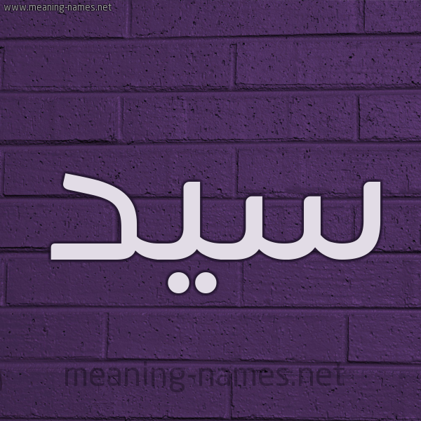 شكل 12 الإسم على الحائط الجداري صورة اسم سَيِّد SAIED شكل 12 الإسم على الحائط الجداري صورة اسم سَيِّد SAIED