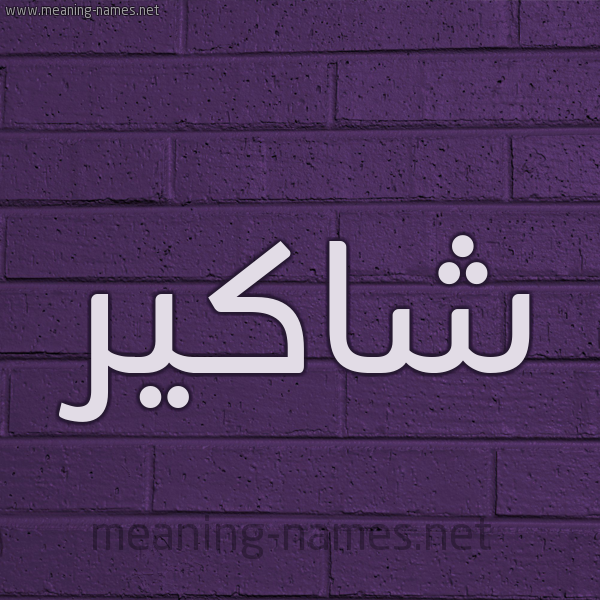 شكل 12 الإسم على الحائط الجداري صورة اسم شاكير Shaker