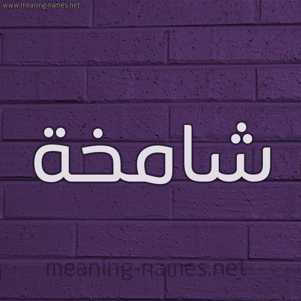 شكل 12 الإسم على الحائط الجداري صورة اسم شامخة Shamkhh