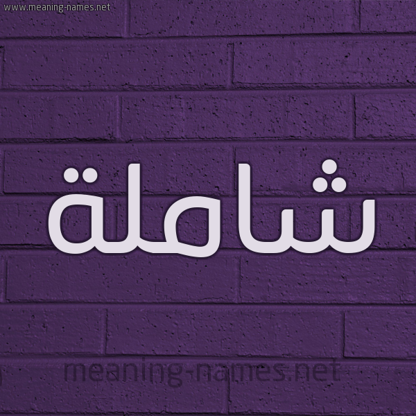 شكل 12 الإسم على الحائط الجداري صورة اسم شاملة Shamlh