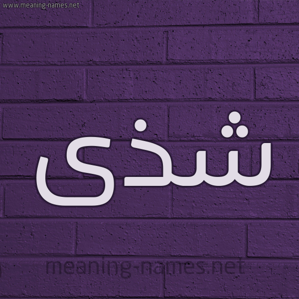 شكل 12 الإسم على الحائط الجداري صورة اسم شذى Shaza