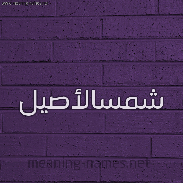شكل 12 الإسم على الحائط الجداري صورة اسم شمسالأصيل Shmsal'asyl