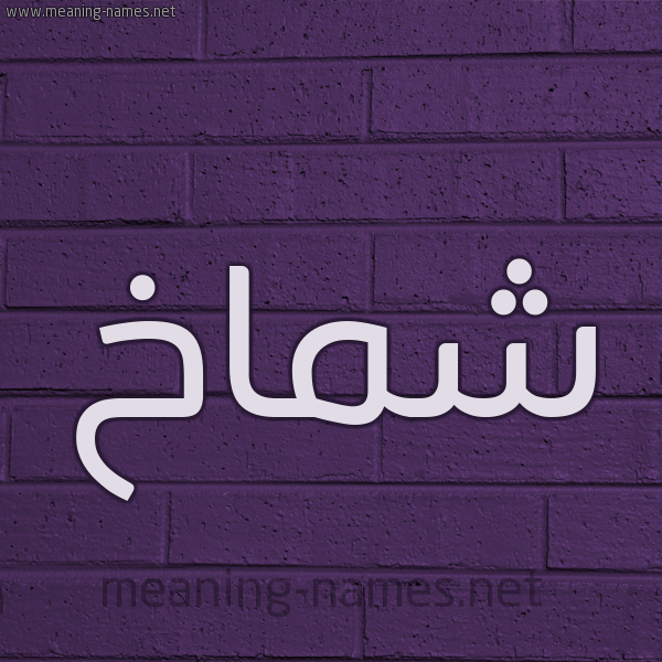 شكل 12 الإسم على الحائط الجداري صورة اسم شَمَّاخ SHAMAAKH