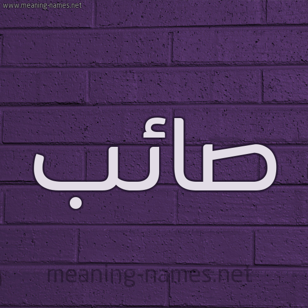 شكل 12 الإسم على الحائط الجداري صورة اسم صائب SAEB