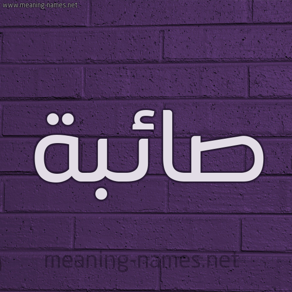 شكل 12 الإسم على الحائط الجداري صورة اسم صائبة SAEBH
