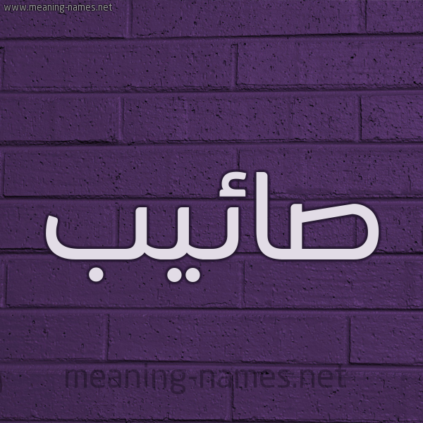 شكل 12 الإسم على الحائط الجداري صورة اسم صائيب Saeb