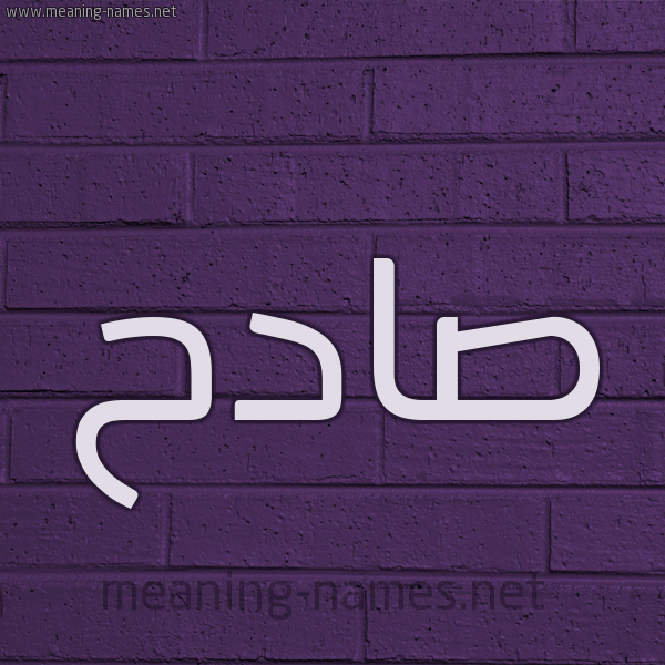 شكل 12 الإسم على الحائط الجداري صورة اسم صادح Sadh