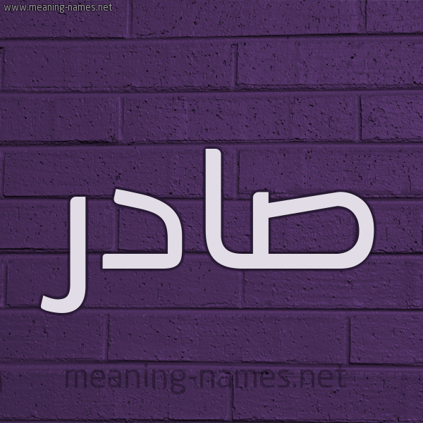 شكل 12 الإسم على الحائط الجداري صورة اسم صادر Sadr
