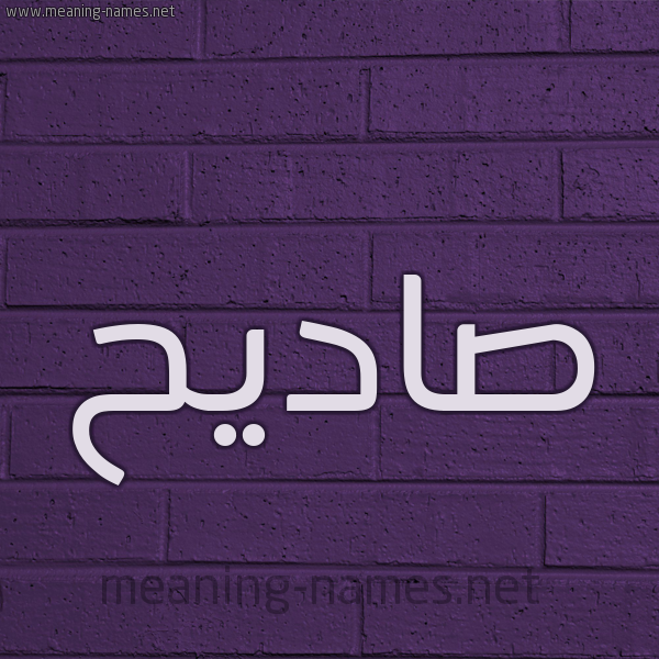 شكل 12 الإسم على الحائط الجداري صورة اسم صاديح Sadih
