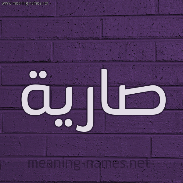 شكل 12 الإسم على الحائط الجداري صورة اسم صارية Saryh
