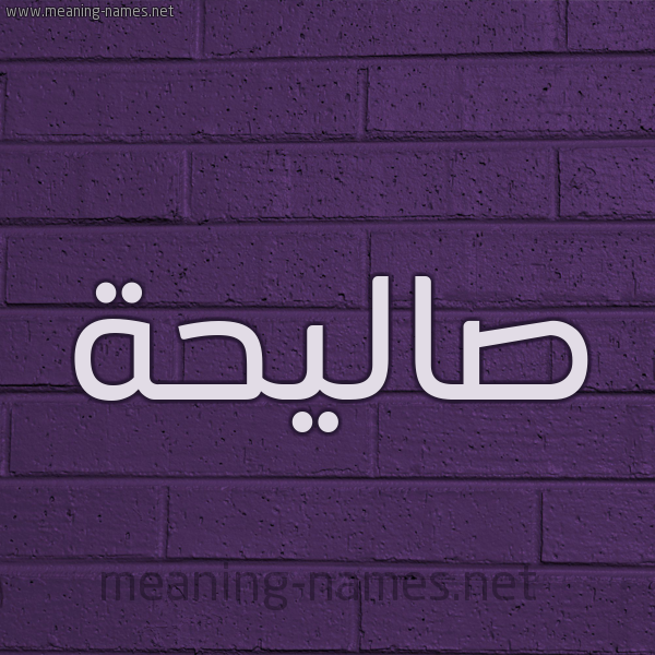 شكل 12 الإسم على الحائط الجداري صورة اسم صاليحة Saleha