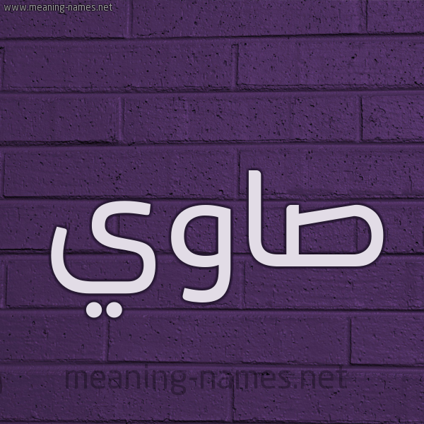 شكل 12 الإسم على الحائط الجداري صورة اسم صاوي SAOI