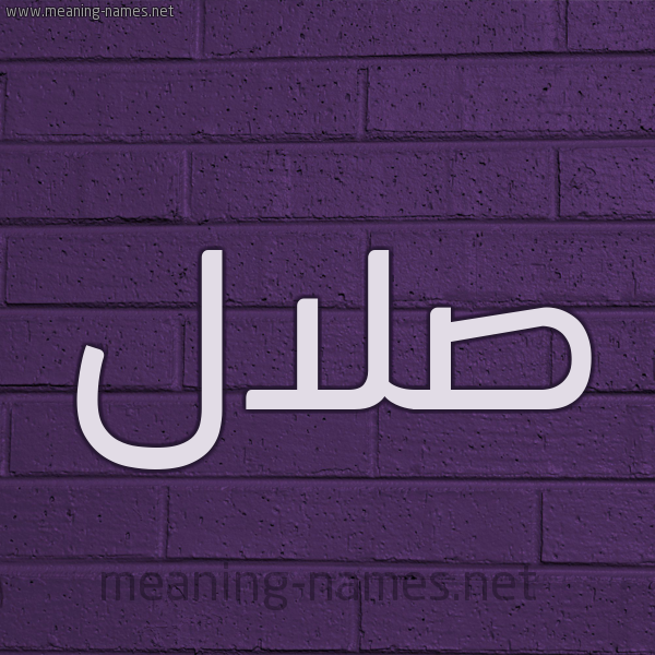 شكل 12 الإسم على الحائط الجداري صورة اسم صلال Slal