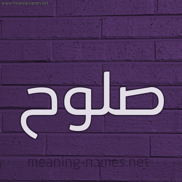 شكل 12 الإسم على الحائط الجداري صورة اسم صَلُّوح SALOOH شكل 12 الإسم على الحائط الجداري صورة اسم صَلُّوح SALOOH