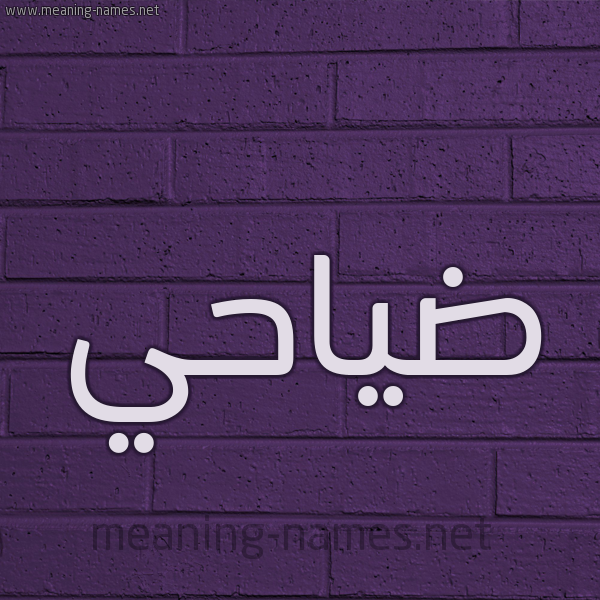 شكل 12 الإسم على الحائط الجداري صورة اسم ضياحي Dahi