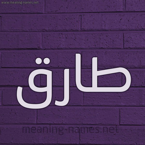 شكل 12 الإسم على الحائط الجداري صورة اسم طارق Tarek