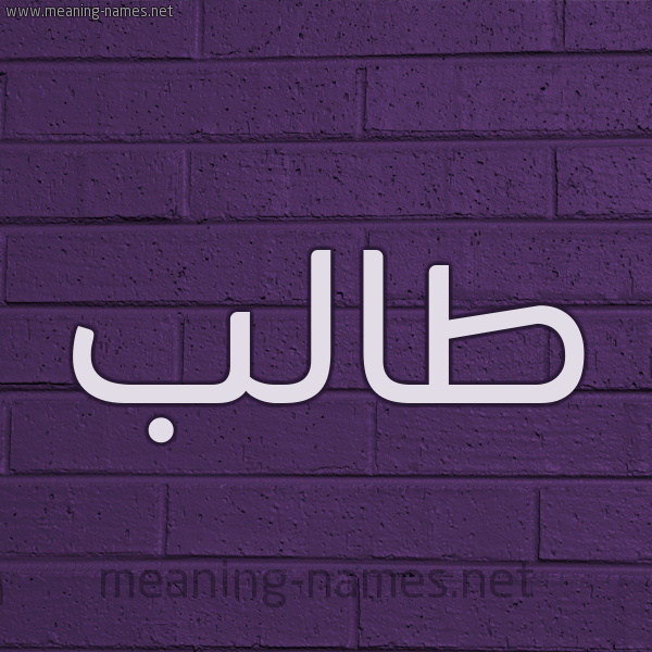 شكل 12 الإسم على الحائط الجداري صورة اسم طالب Talb