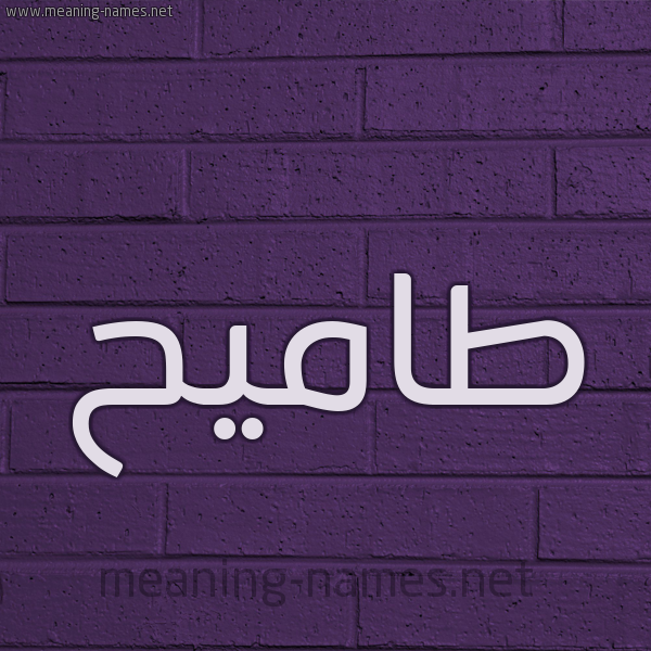 شكل 12 الإسم على الحائط الجداري صورة اسم طاميح Tameh