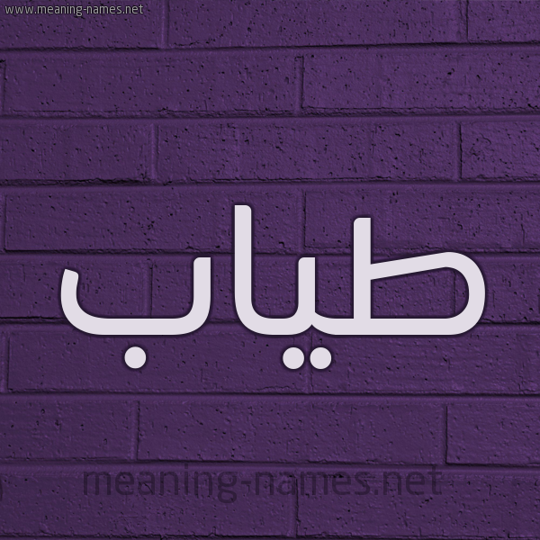 شكل 12 الإسم على الحائط الجداري صورة اسم طياب Tyab