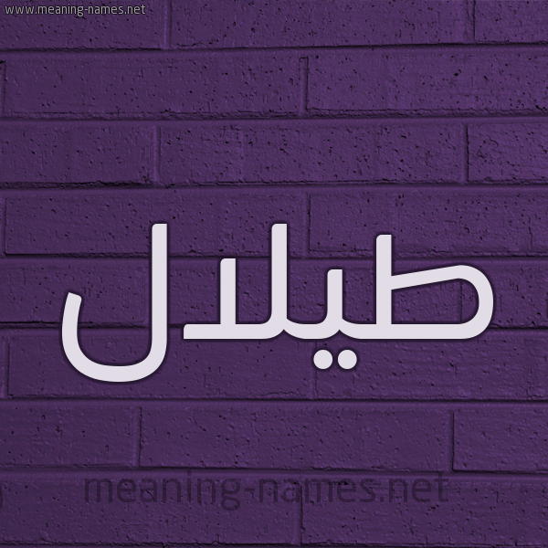 شكل 12 الإسم على الحائط الجداري صورة اسم طيلال Talal