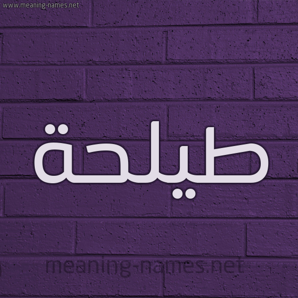 شكل 12 الإسم على الحائط الجداري صورة اسم طيلحة Talha