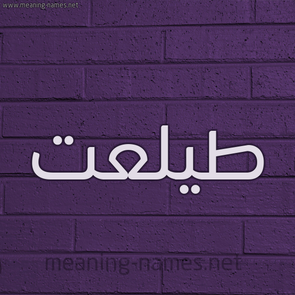 شكل 12 الإسم على الحائط الجداري صورة اسم طيلعت Talat