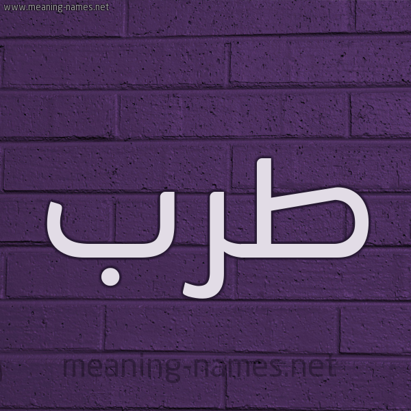 شكل 12 الإسم على الحائط الجداري صورة اسم طَرَب TARAB