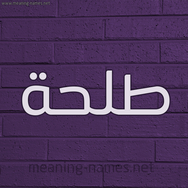 شكل 12 الإسم على الحائط الجداري صورة اسم طَلْحة Talha