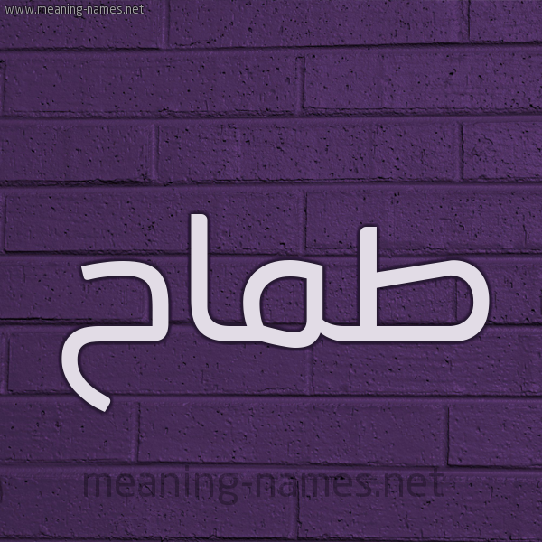 شكل 12 الإسم على الحائط الجداري صورة اسم طَمَّاح TAMAAH شكل 12 الإسم على الحائط الجداري صورة اسم طَمَّاح TAMAAH