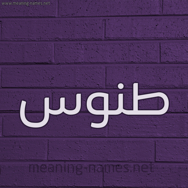 شكل 12 الإسم على الحائط الجداري صورة اسم طَنُّوس TANOOS شكل 12 الإسم على الحائط الجداري صورة اسم طَنُّوس TANOOS