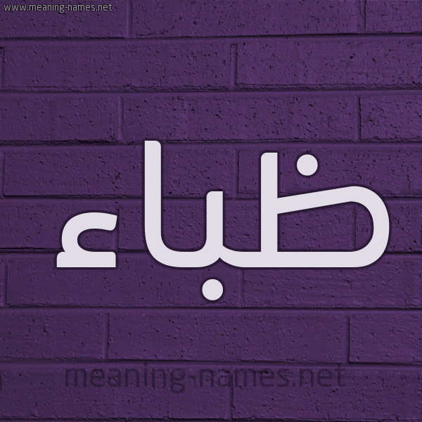 شكل 12 الإسم على الحائط الجداري صورة اسم ظباء ZBAA