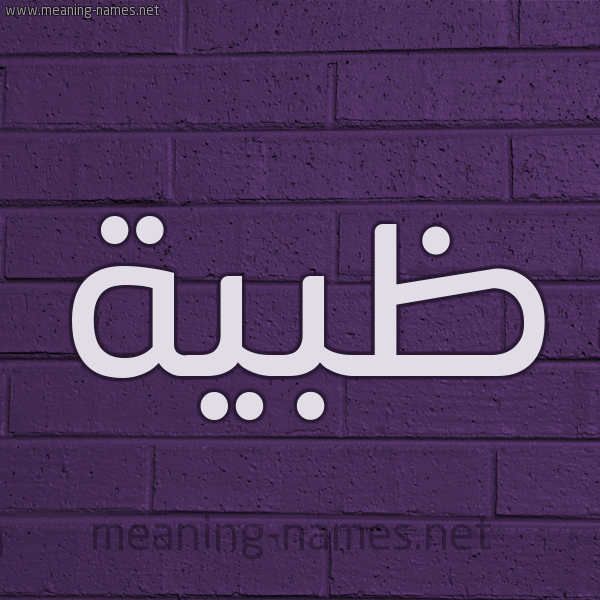 شكل 12 الإسم على الحائط الجداري صورة اسم ظبية Zbyh