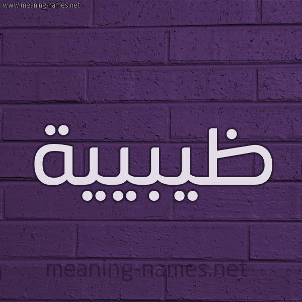 شكل 12 الإسم على الحائط الجداري صورة اسم ظيبيية Zabia