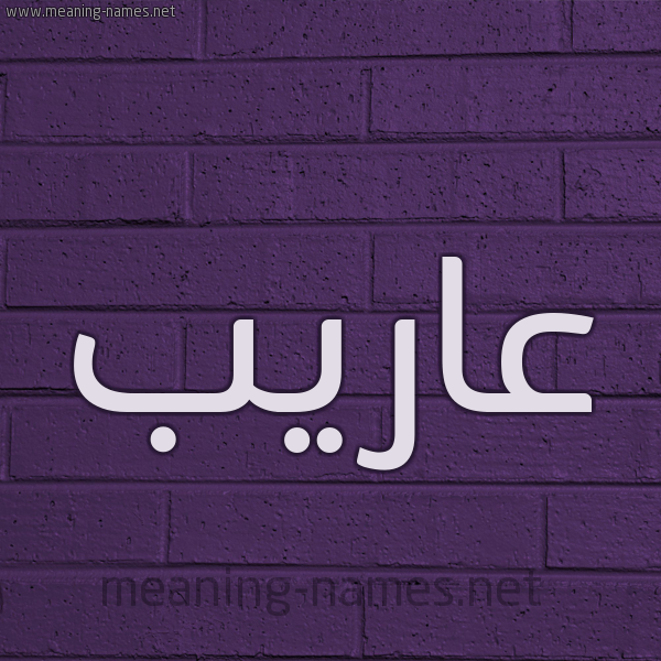 شكل 12 الإسم على الحائط الجداري صورة اسم عاريب Areb