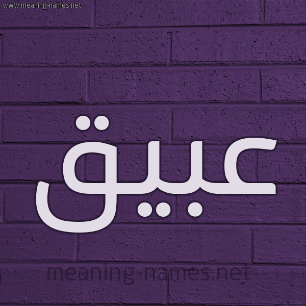 شكل 12 الإسم على الحائط الجداري صورة اسم عبيق Abyq