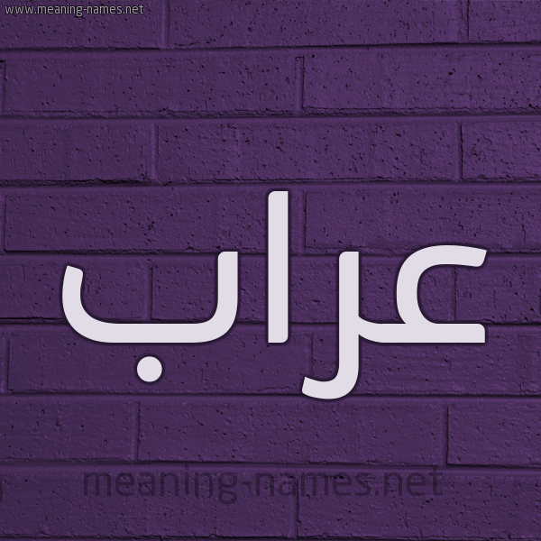 شكل 12 الإسم على الحائط الجداري صورة اسم عراب Araab