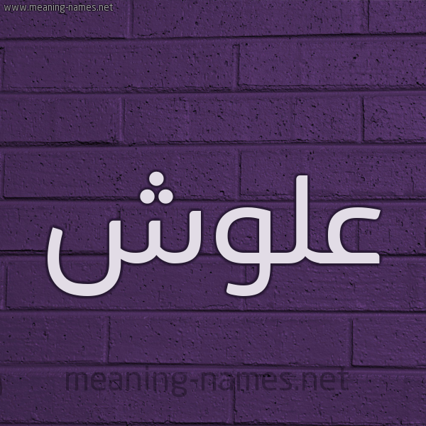 شكل 12 الإسم على الحائط الجداري صورة اسم علوش Alwsh